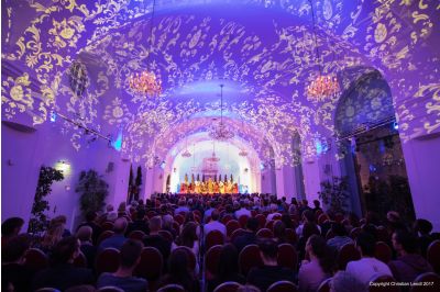 Schönbrun Pallace Dinner & Concert Orangery Vienna